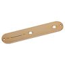 Gotoh CP-10 Control Plate Gold Gold