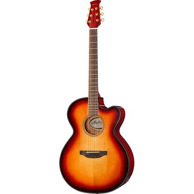 Applause AEJ96-1 Jumbo Cut Electro Sunburst brillante Applause AEJ96-1 Jumbo Cut Electro Sunburst brillante