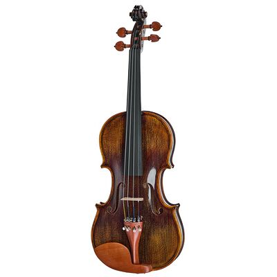 Roth Preludio 01 Violin Set 4/4 BW Roth Preludio 01 Violin Set 4/4 BW