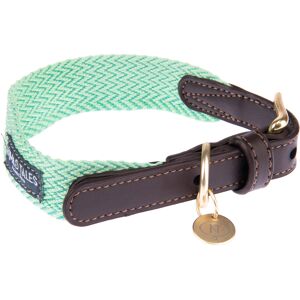 Nomad Tales Collar  Bloom menta S para perros