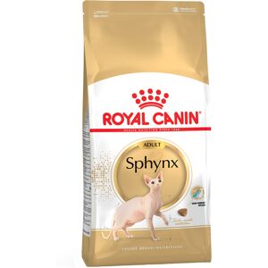 2x10kg Royal Canin Sphynx Adult pienso para gatos