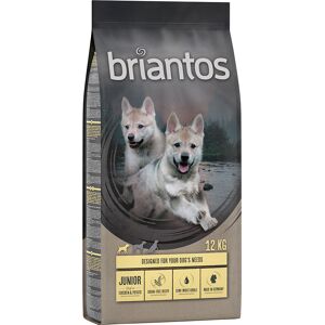 briantos 2x12kg Junior sin cereales pollo y patata  pienso para perros