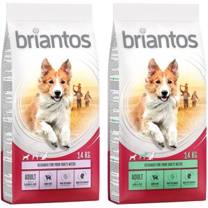 briantos 2x12kg Adult pack mixto  pienso para perros