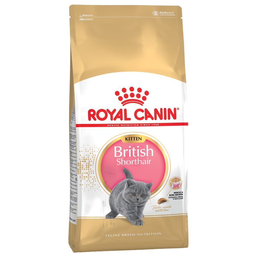 Royal Canin 2x10kg British Shorthair Kitten Royal Canin pienso gatos