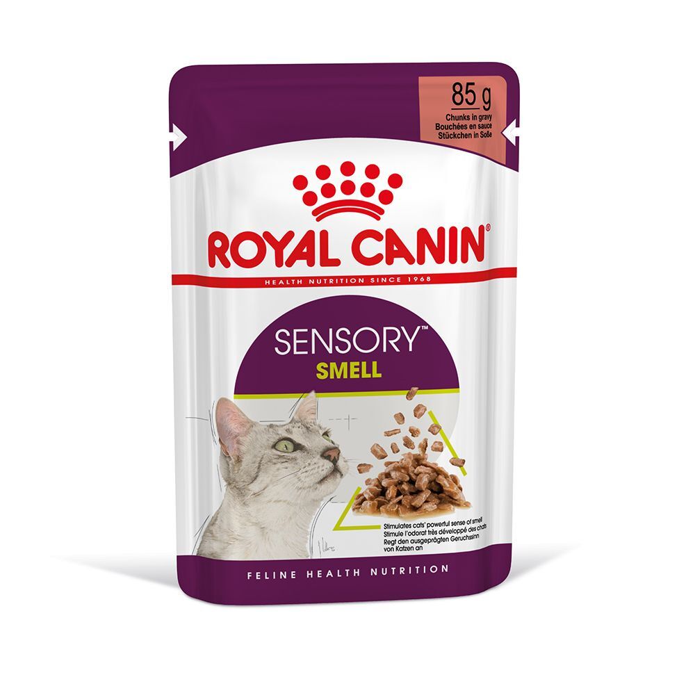 Royal Canin 24x85g Sensory Smell en salsa  comida húmeda para gatos
