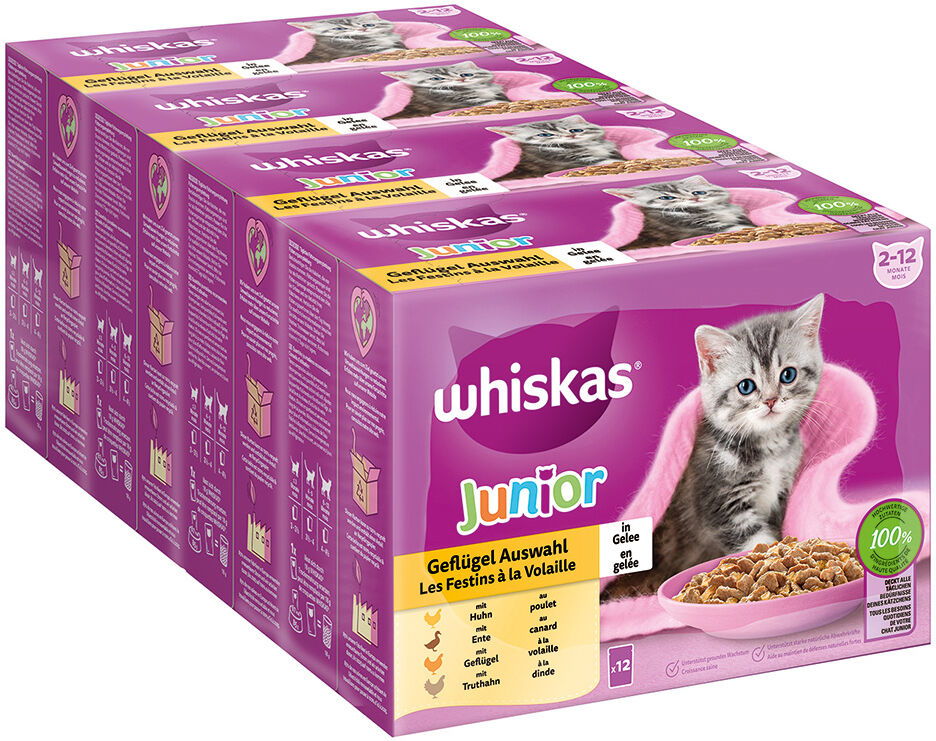 Whiskas 48x85g Junior Selección de aves en gelatina  para gatos