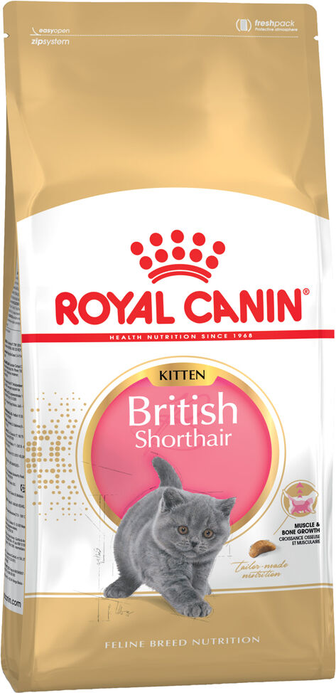 2x10kg British Shorthair Kitten Royal Canin pienso gatos