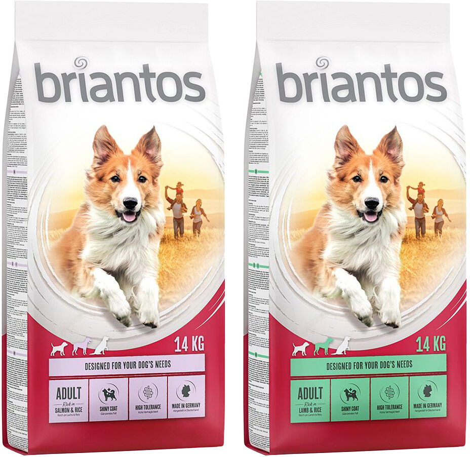 briantos 2x12kg Adult pack mixto  pienso para perros