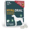 Hyaloral 120 condroprotector para perros grandes y gigantes