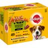 Pedigree 24 x 100 g  Adult bolsitas en salsa comida húmeda para perros