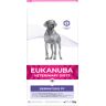 Eukanuba Veterinary Diet 12kg Dermatosis s pienso para perros