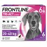 Frontline 6 pipetas 20-40kg Front-line Tri-Act para perros