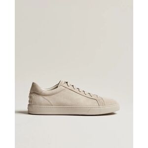 Tod's Cassetta Lacciata Sneaker Light Grey Suede - Vihreä - Size: S M L XL XXL - Gender: men