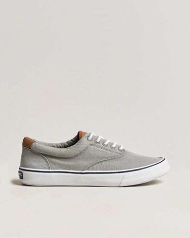 Sperry Striper II Canvas Sneaker Grey