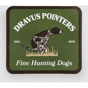 Dravus Pointer Pup Tarra kuviotu