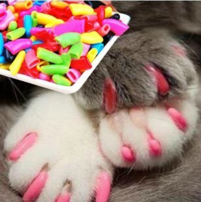 Anti-scratch protective pet nail 20pcs + Glue, SIZE: L