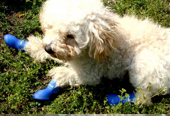 DOG BOOTS Waterproof Protective Rubber Pet Rain Shoes Booties Size:S * DOG BOOTS Waterproof Protective Rubber Pet Rain Shoes Booties Size:S *