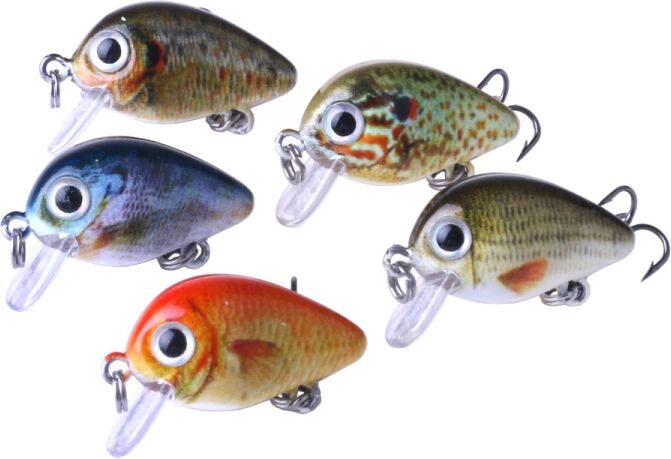 Tarvike 5kpl 2.7 cm / 1.5g Luya Rock-syöttejä muovilaatikossa Tarvike 5kpl 2.7 cm / 1.5g Luya Rock-syöttejä muovilaatikossa