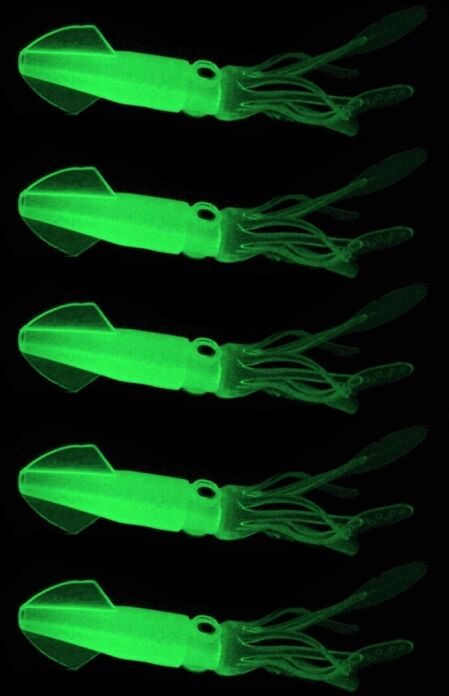 Tarvike 5kpl muovisia, keinotekoisia 9cm syöttejä Tarvike 5kpl muovisia, keinotekoisia 9cm syöttejä