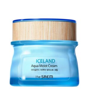 THE SAEM Iceland Aqua Moist Cream 60ml