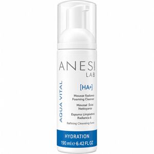 ANESI Lab Aqua Vital HA+ Mousse Radiance Foaming Cleanser 190ml ANESI Lab Aqua Vital HA+ Mousse Radiance Foaming Cleanser 190ml