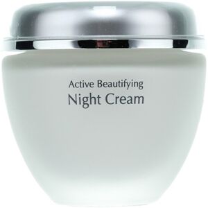 ANNA LOTAN - New Age Control Night Cream - AHA - Cream ANNA LOTAN - New Age Control Night Cream - AHA - Cream
