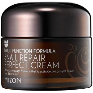 MIZON Snail Repair Perfect Cream 50ml