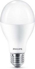 E27 Philips E27 LED-lamput 18W (120W) (Päärynä, Huuruinen)