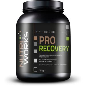 Nutri Works Pro Recovery -palautusjuoma 2000g