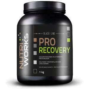 Nutri Works Pro Recovery -palautusjuoma 1000g