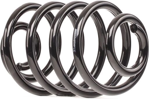 RIDEX Jousi 188C0970 Kierrejousi RENAULT,CLIO II BB0/1/2_, CB0/1/2_,CLIO II Kasten SB0/1/2_ RIDEX Jousi 188C0970 Kierrejousi RENAULT,CLIO II BB0/1/2_, CB0/1/2_,CLIO II Kasten SB0/1/2_