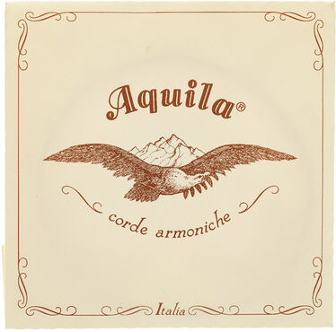 Aquila 145D Wound Nylgut Lute String Aquila 145D Wound Nylgut Lute String