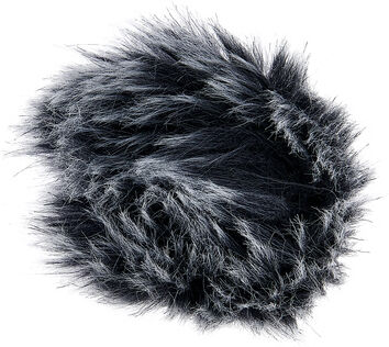 Olympus WJ-2 Windschutz Olympus WJ-2 Windschutz