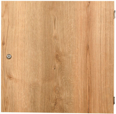 Thon Studio Rack 12U Back Door Thon Studio Rack 12U Back Door