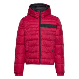 Boss Reversible Puffer Jacket Red BOSS  - POPPY - male - Size: 110,116,128,140,152,164