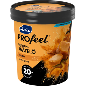 Valio PROfeel® proteiinijäätelö 480 ml kinuski laktoositon Valio PROfeel® proteiinijäätelö 480 ml kinuski laktoositon