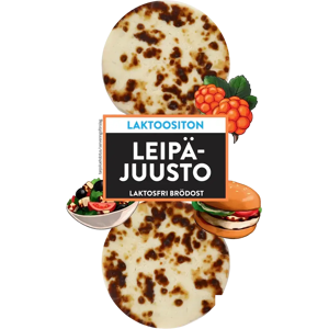 Juustoportti leipäjuusto 2 x n.60 g/120 g laktoositon Juustoportti leipäjuusto 2 x n.60 g/120 g laktoositon