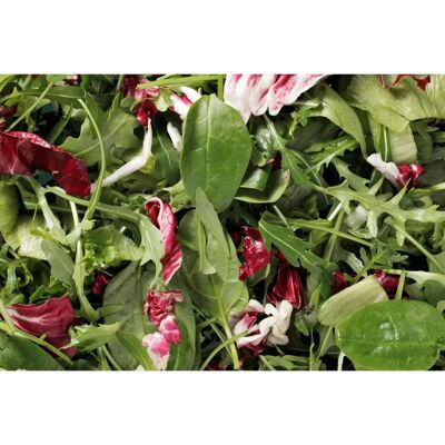 Fresh SK Gourmet mix 0,5 kg pussi Fresh SK Gourmet mix 0,5 kg pussi