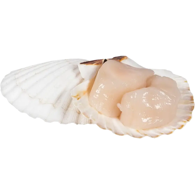 Herkku kampasimpukanliha raaka 180g Herkku kampasimpukanliha raaka 180g