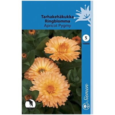 Siemen tarhakehäkukka 'Apricot Pygmy' Siemen tarhakehäkukka 'Apricot Pygmy'