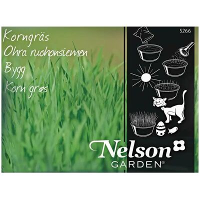 Nelson Garden Ohraruoho Nelson Garden Ohraruoho