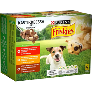 Friskies 12x100g Aikuinen Nautaa - Koiranruoka Friskies 12x100g Aikuinen Nautaa - Koiranruoka