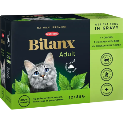 Best Friend Bilanx Adult lajitelma kastikkeessa 12x85 g Best Friend Bilanx Adult lajitelma kastikkeessa 12x85 g