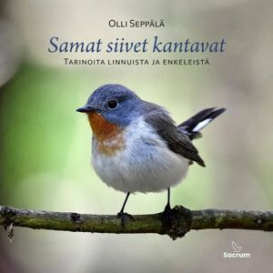 Prisma Seppälä, Samat siivet kantavat - Tarinoita linnuista ja enkeleistä Prisma Seppälä, Samat siivet kantavat - Tarinoita linnuista ja enkeleistä