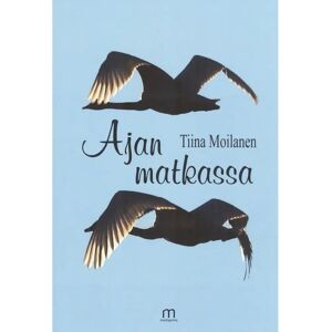 Mediapinta Moilanen, Ajan matkassa Mediapinta Moilanen, Ajan matkassa