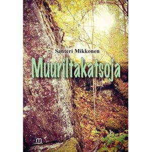 Mediapinta Mikkonen, Muuriltakatsoja Mediapinta Mikkonen, Muuriltakatsoja