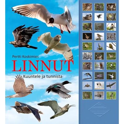 Readme.fi Koskimies, Linnut - kuuntele ja tunnista Readme.fi Koskimies, Linnut - kuuntele ja tunnista