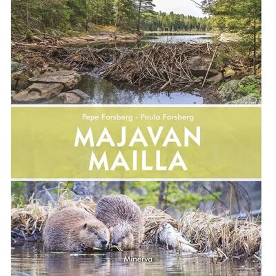 Minerva Forsberg, Majavan mailla Minerva Forsberg, Majavan mailla