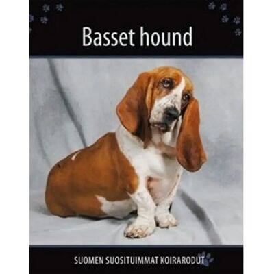 Wild Blue Ky Basset hound Wild Blue Ky Basset hound