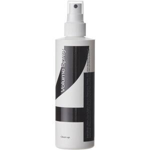 Clean Up Volume Spray 250 ml